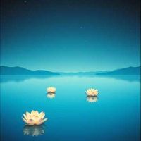 앨범 커버 이미지