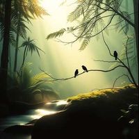 앨범 커버 이미지