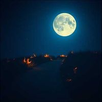 앨범 커버 이미지