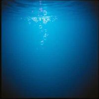 앨범 커버 이미지