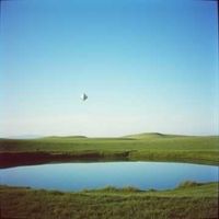 앨범 커버 이미지