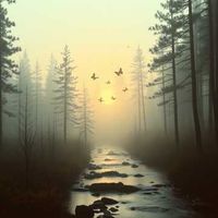 앨범 커버 이미지