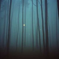 앨범 커버 이미지