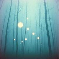 앨범 커버 이미지