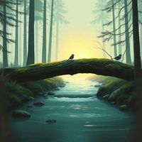 앨범 커버 이미지