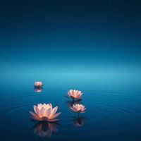 앨범 커버 이미지