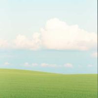 앨범 커버 이미지