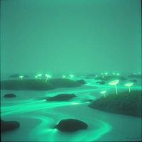 앨범 커버 이미지